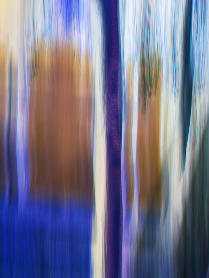 Moving Trees 59