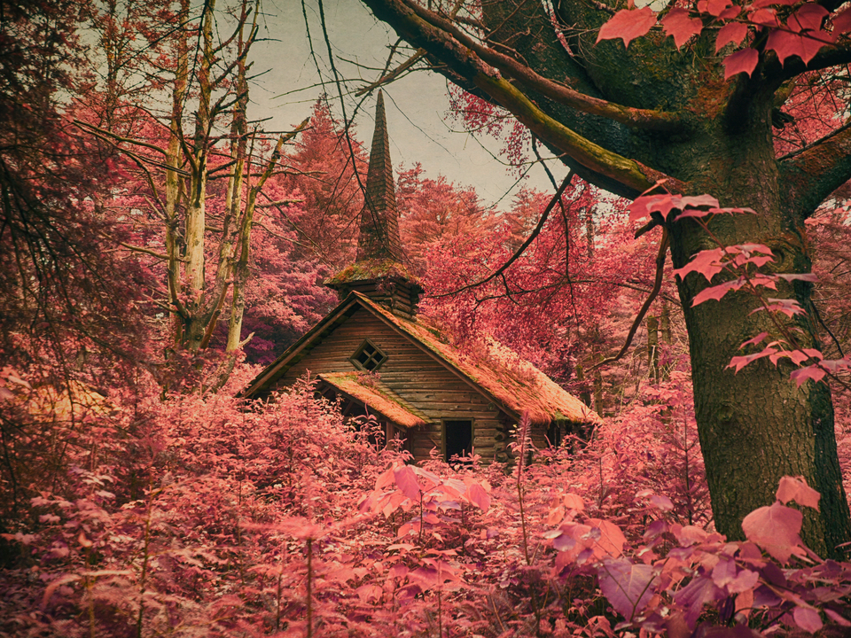 Pink Church