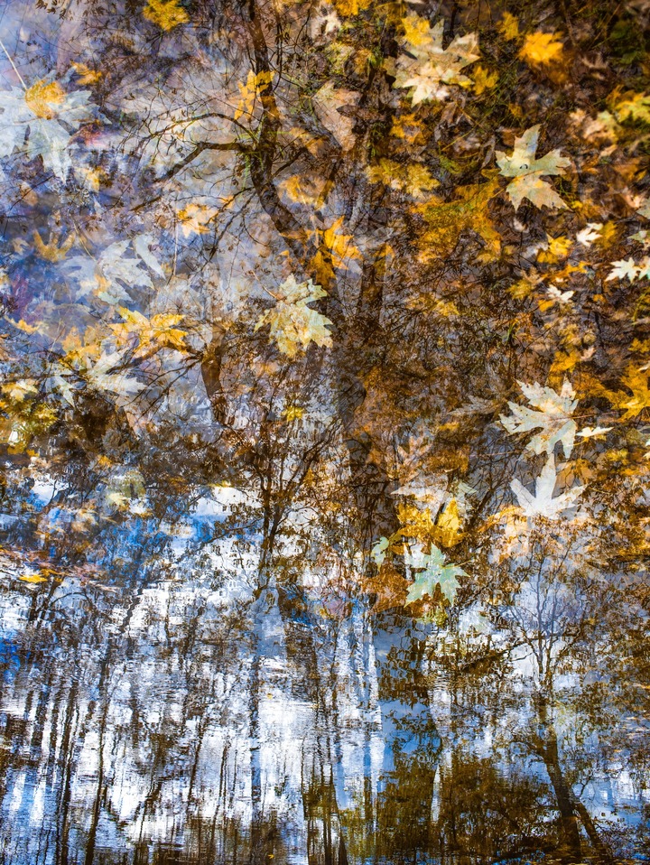 The Truth of Silence