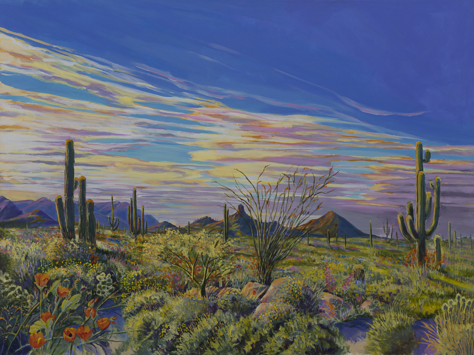 Pinnacle Peak Vista