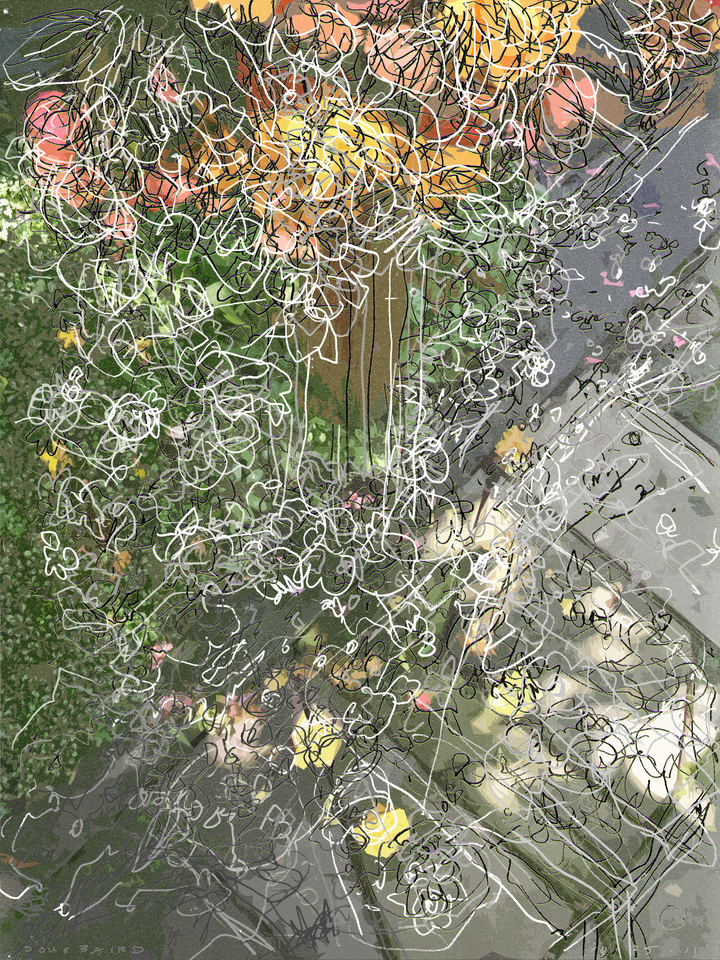Hanging Basket