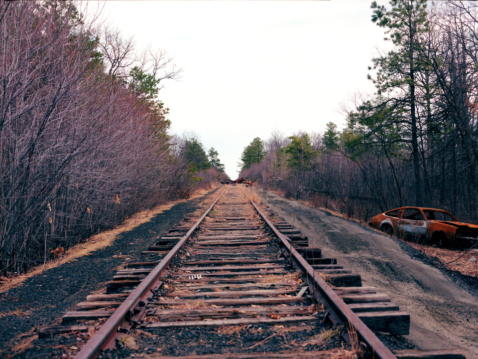 Tracks, Cape Cod