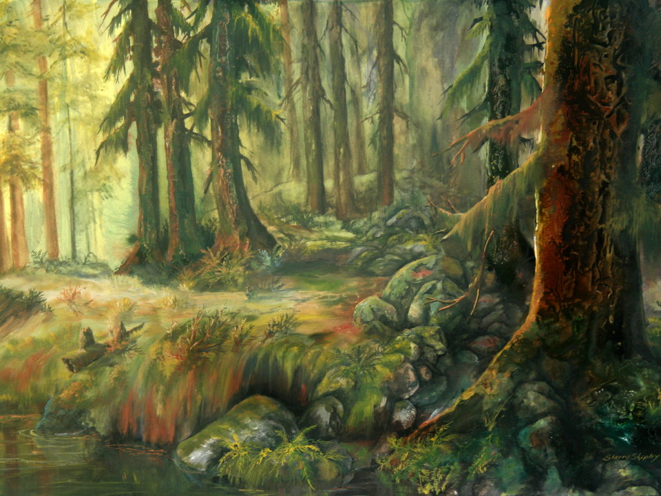 Enchanted Rainforest