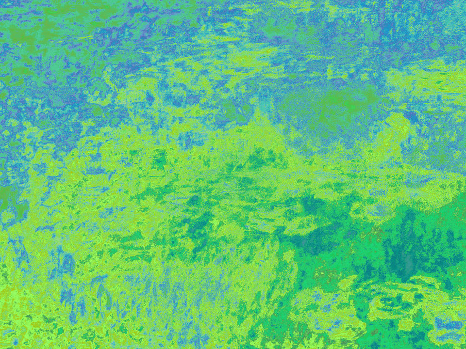 Scottish Countryside