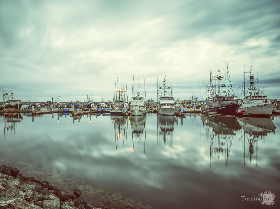 Tuna Harbor Vintage