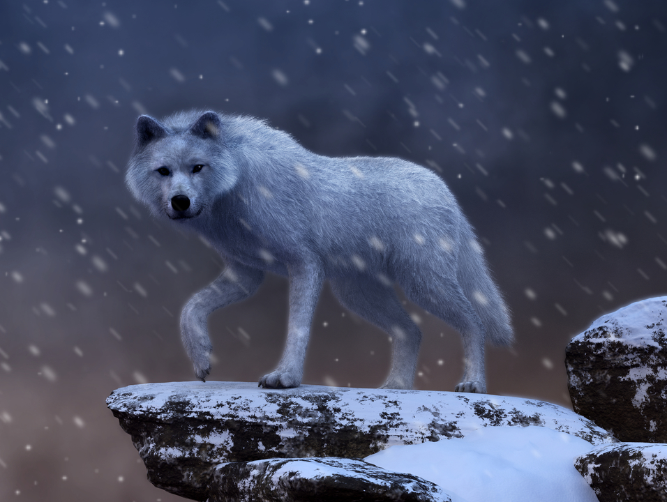 Spirit of the Blizzard