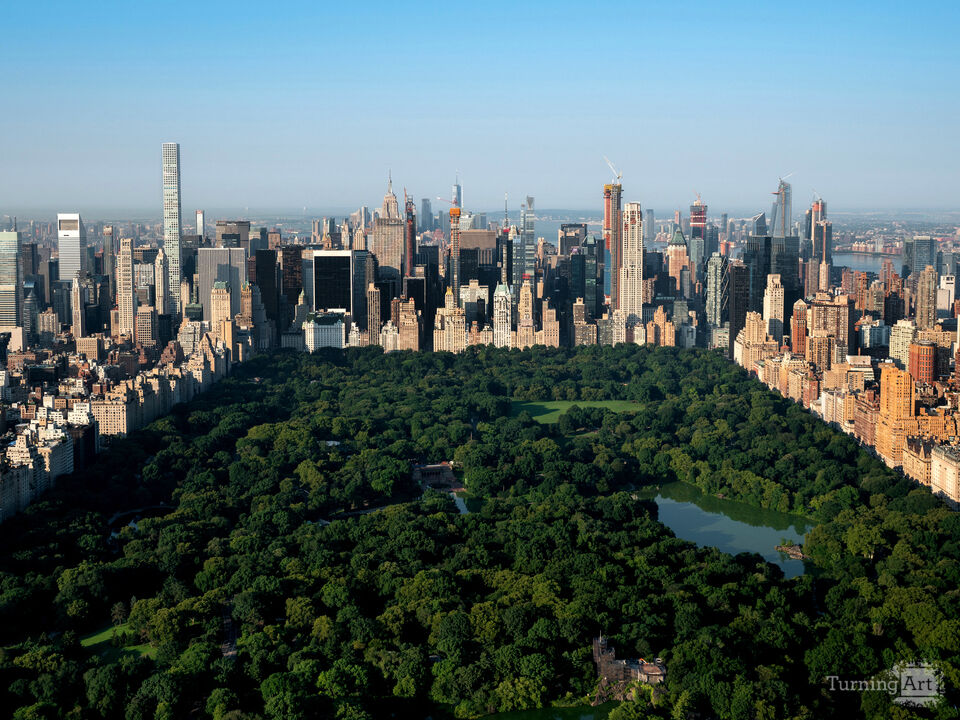 Series 44: To Drone in New York