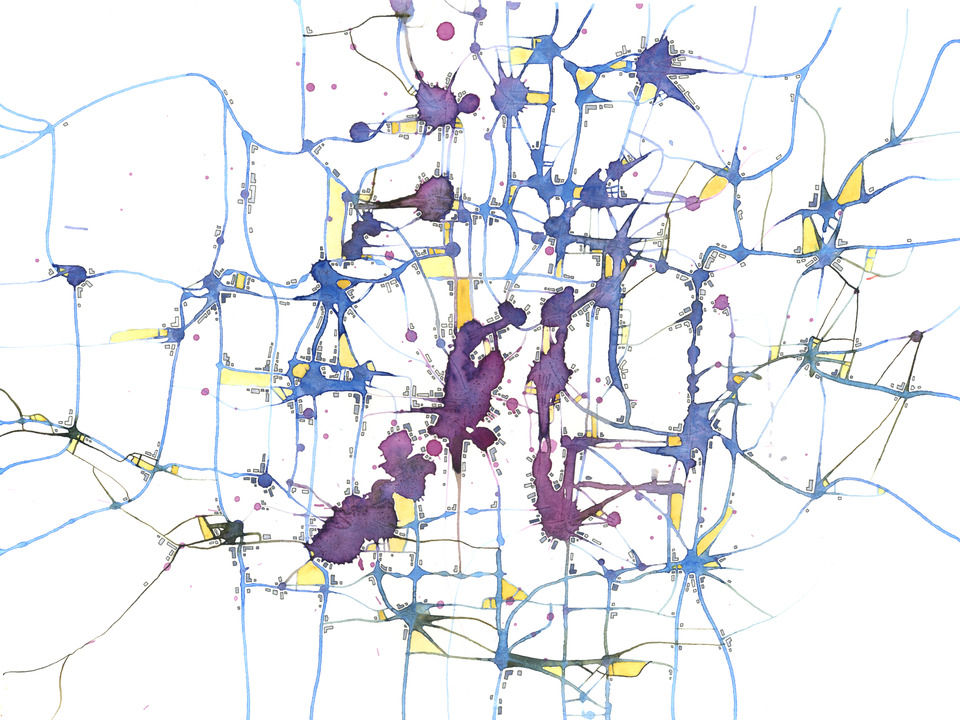 Conduits organic algorithm 12