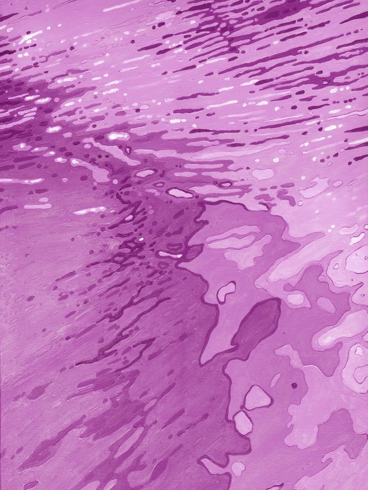 Violet Driftwood Beach