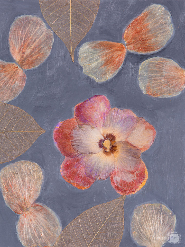 Four Directions Blossoms 