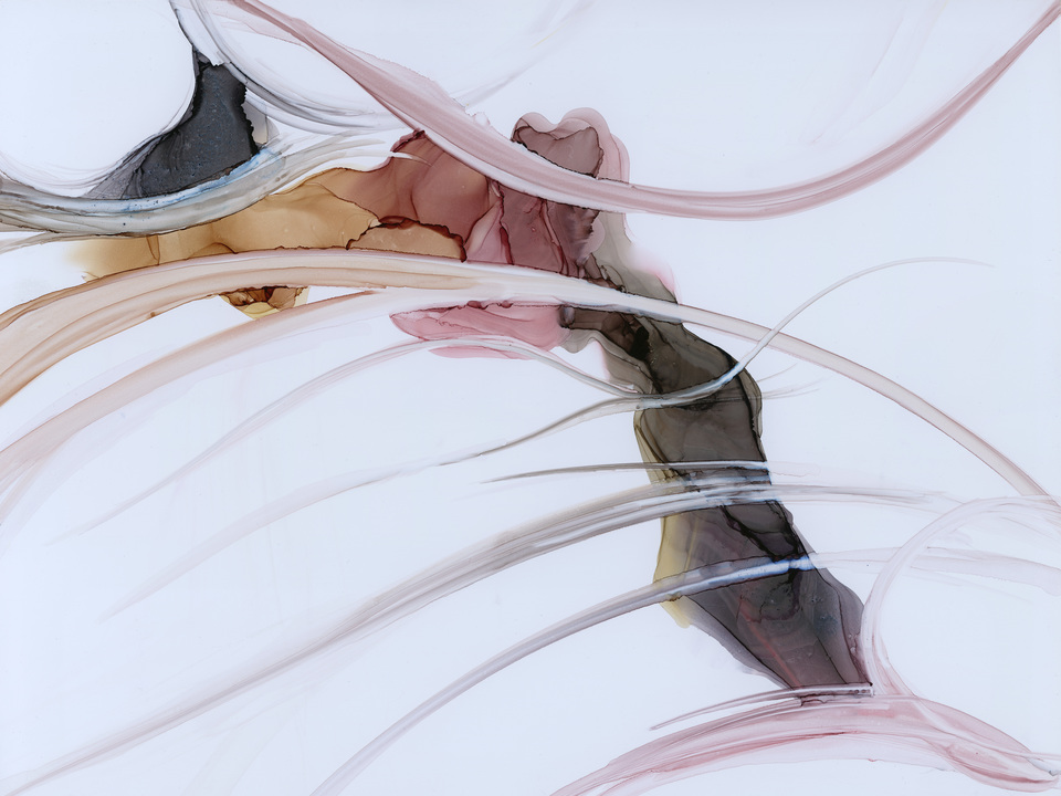 Take Back My Freedom