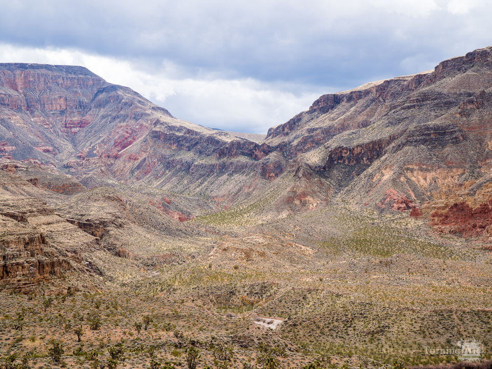 Zion National Park #1