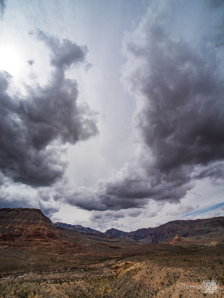 Zion National Park #4