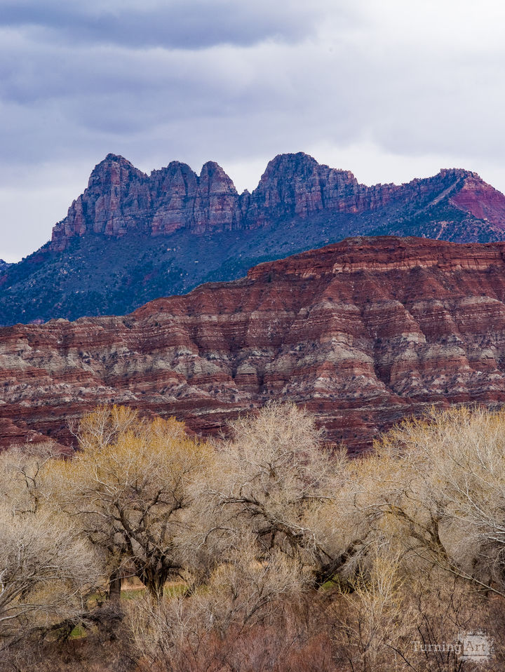 Zion National Park #7