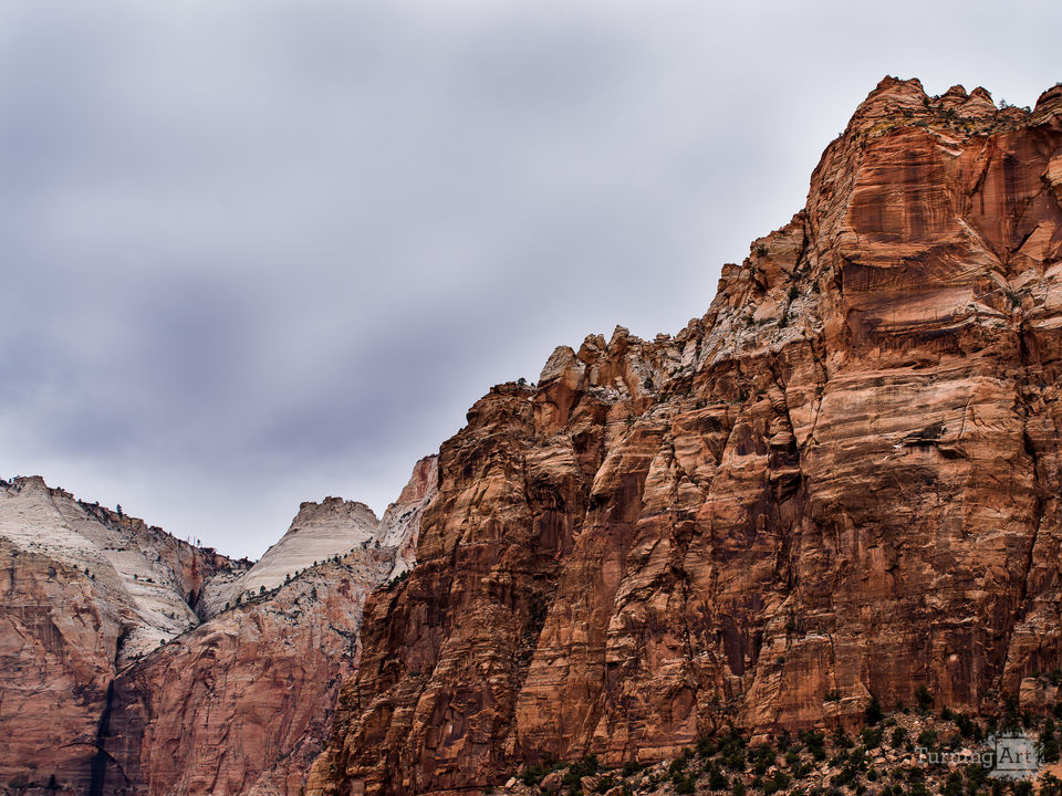 Zion National Park #13