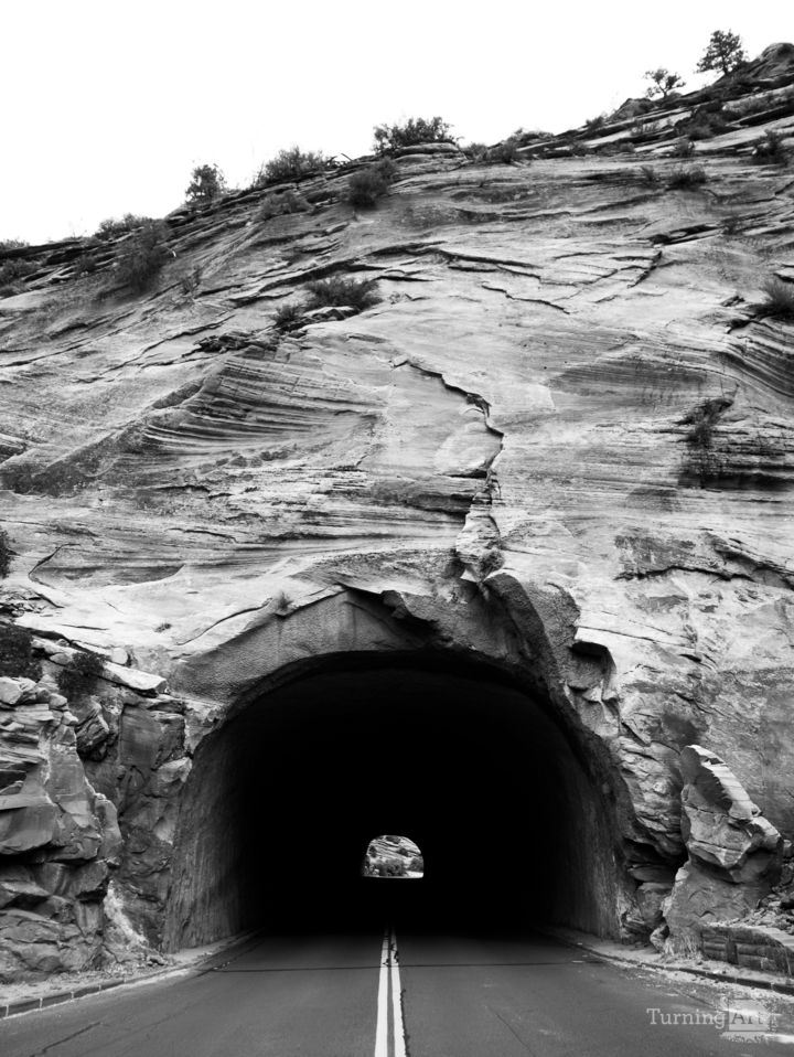 Zion National Park #17