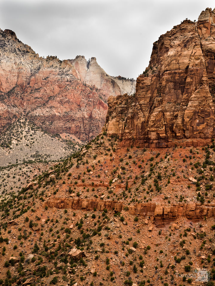 Zion National Park #16