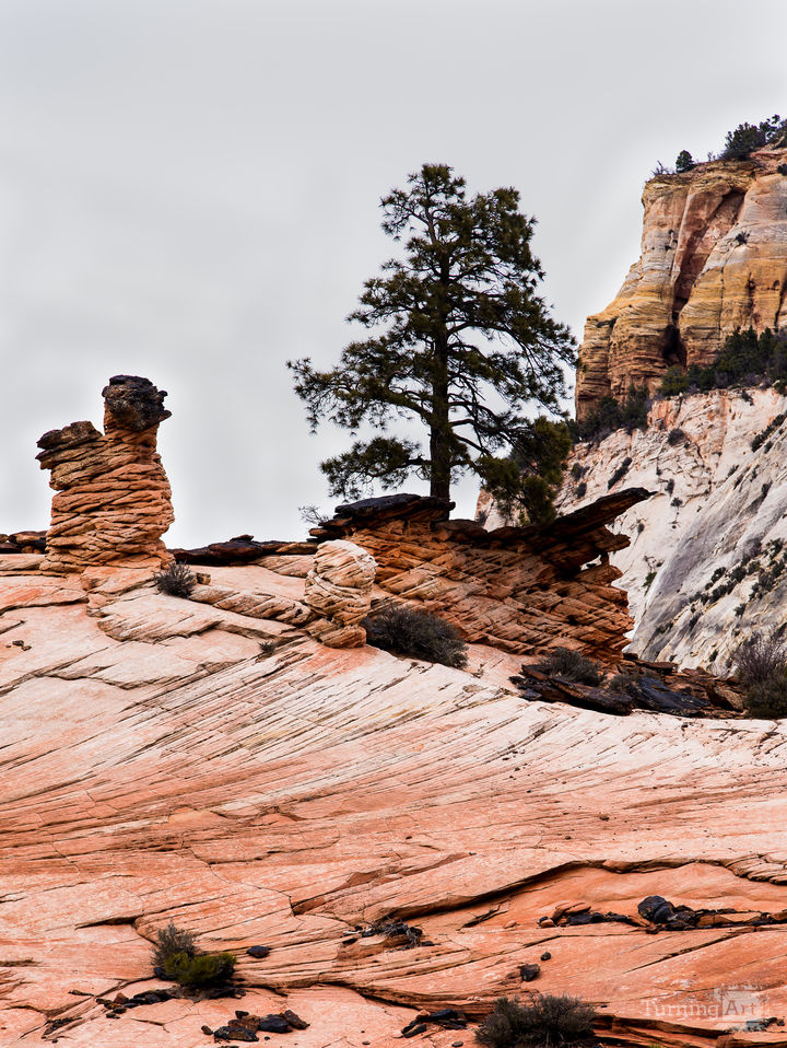 Zion National Park #32