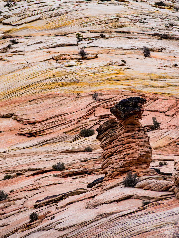 Zion National Park #35