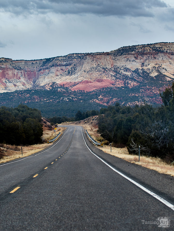 Zion National Park #47