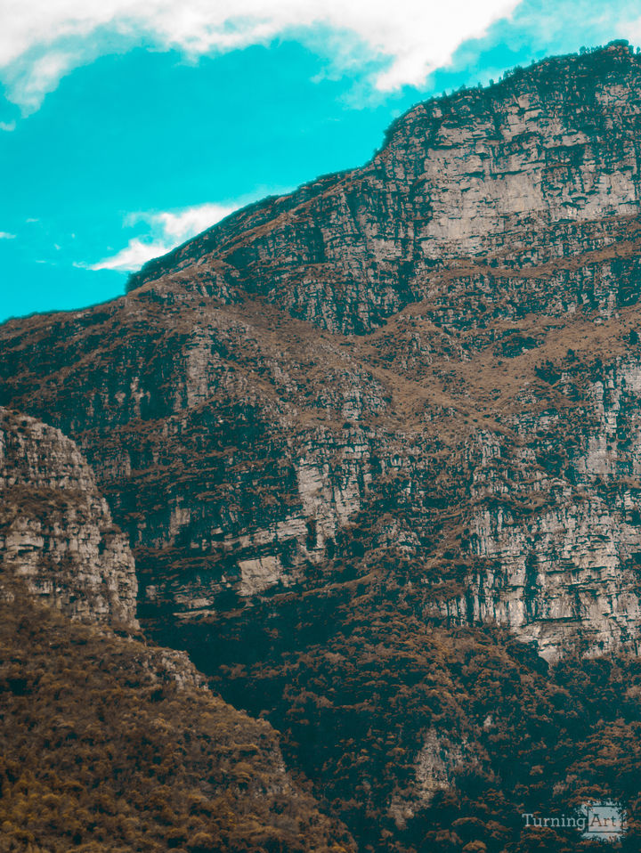 Mountain Forest