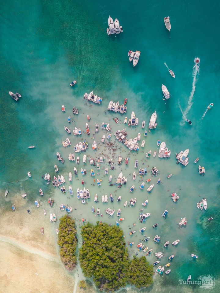 Stand out from the Crowd 