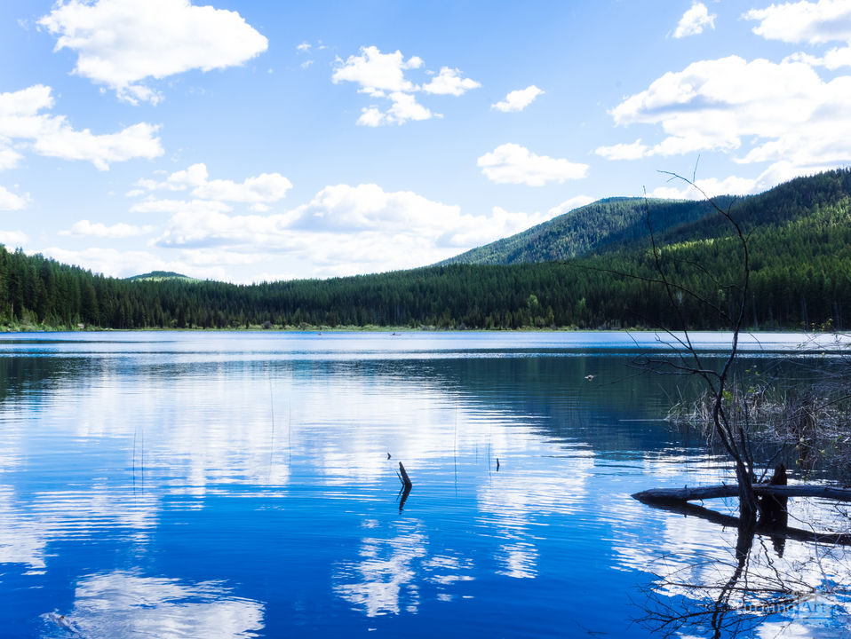 Lone Lake Nature Photo Print