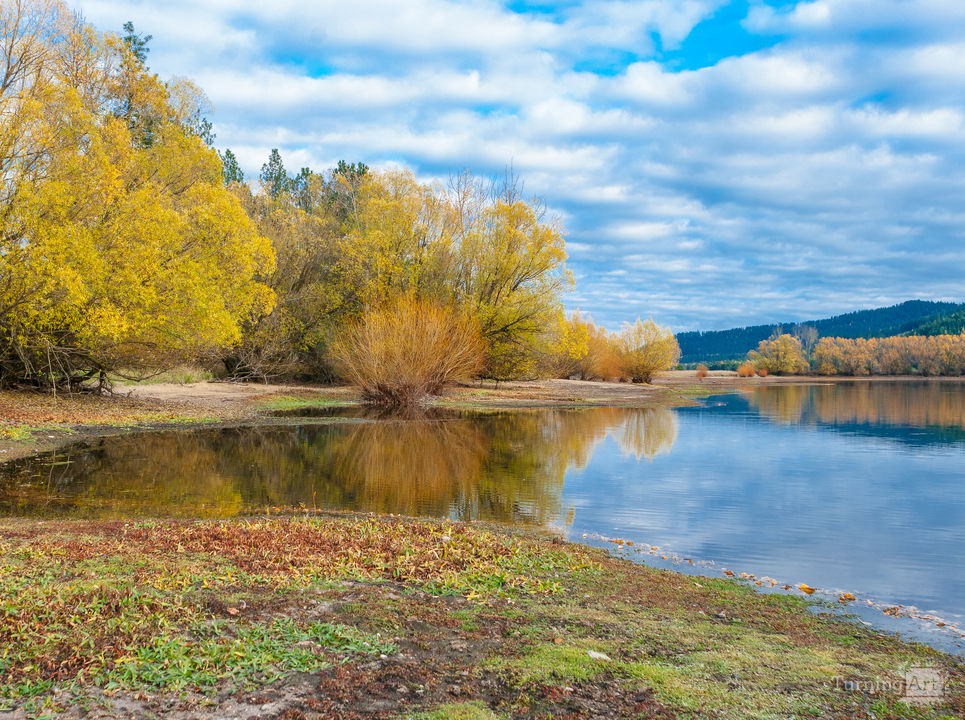 Autumn on the Lakeshore Fine Art Nature Photography