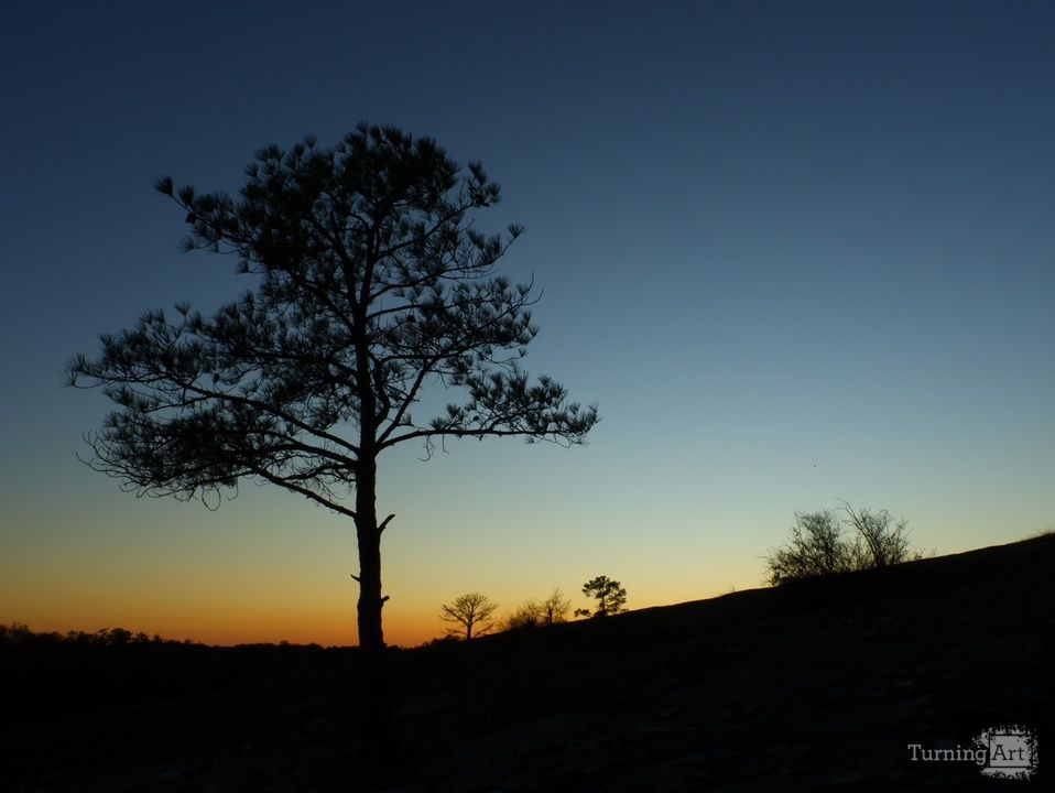 Stand Apart, in Color