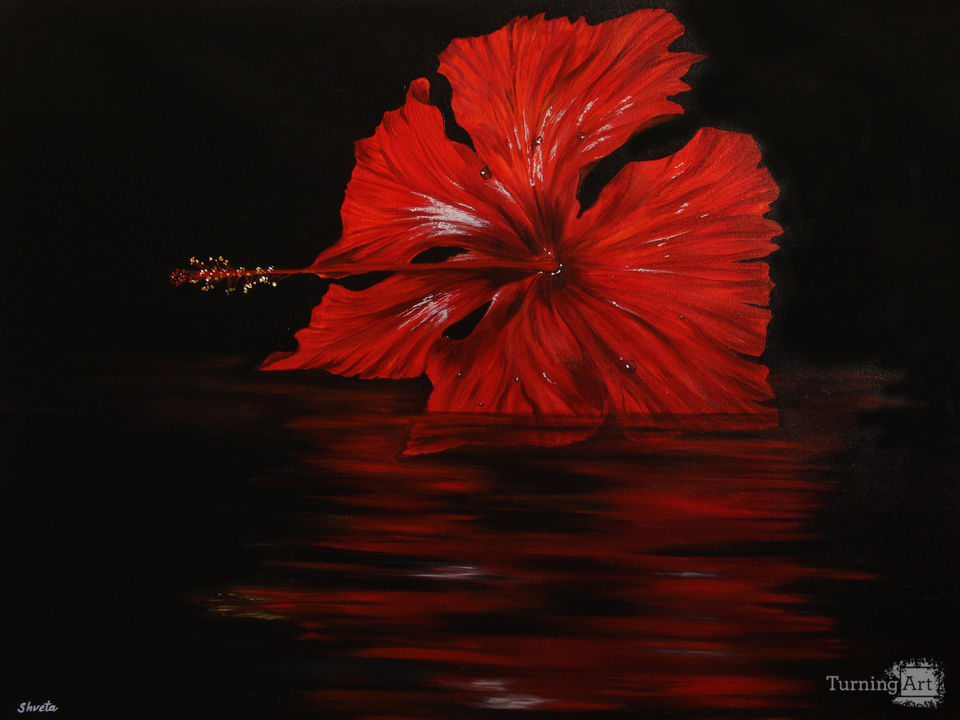 Hibiscus