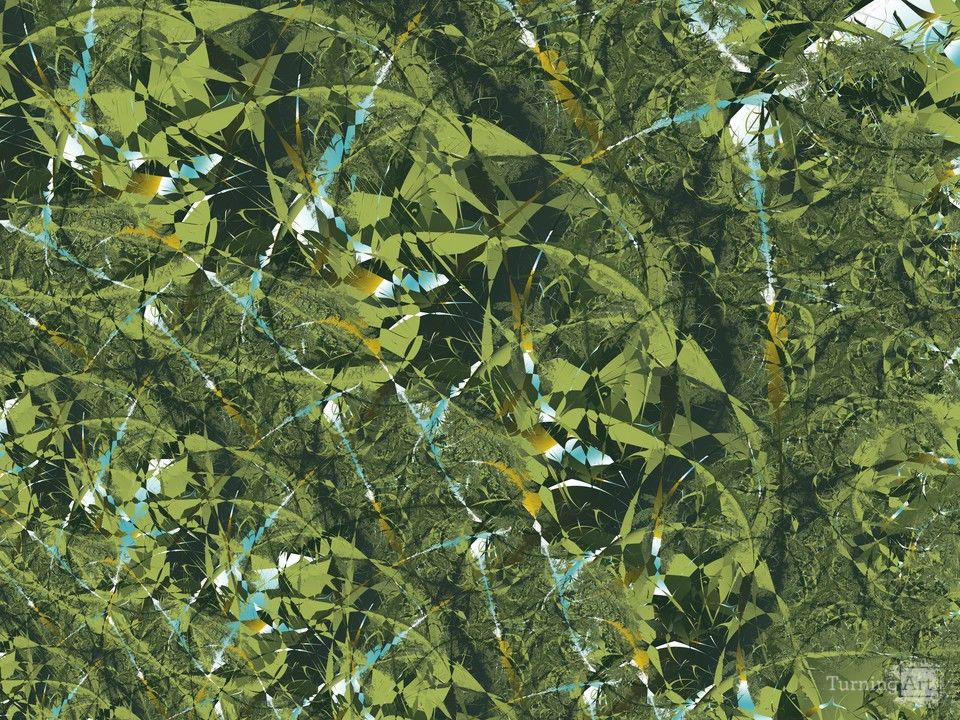 Jungle 1
