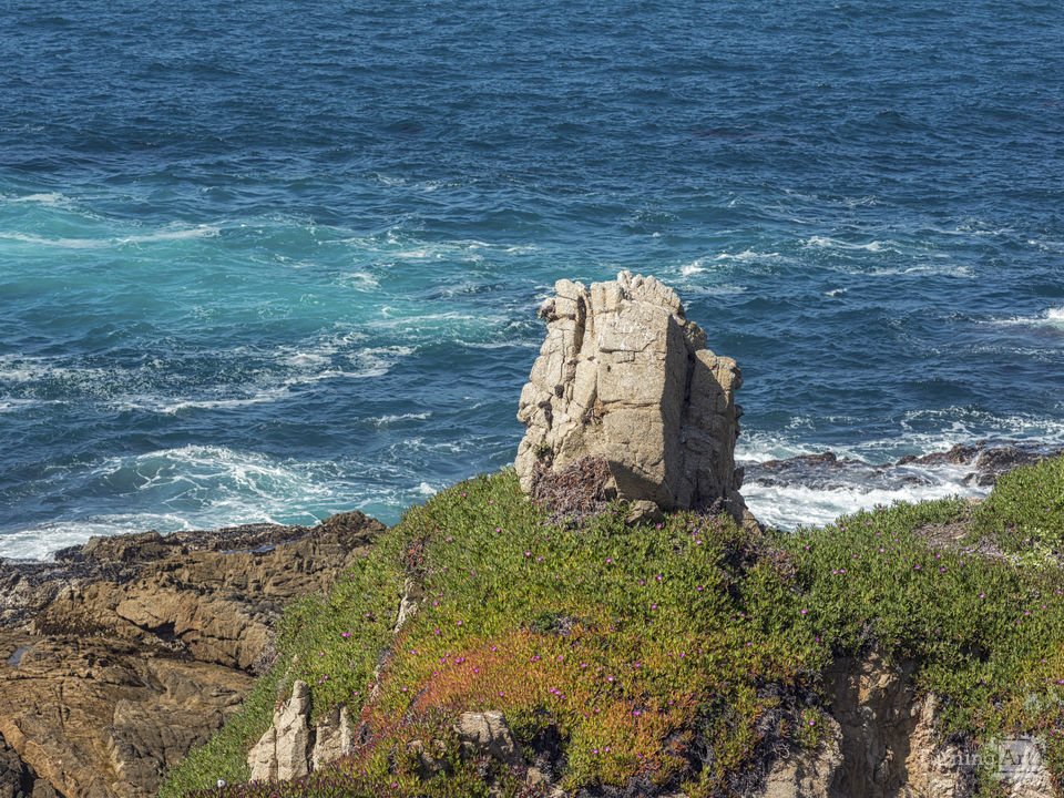 Colors Blend At Garrapata