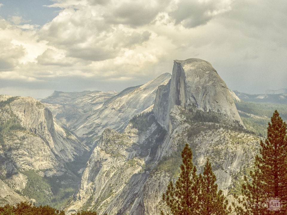 Vintage Vibe Half Dome