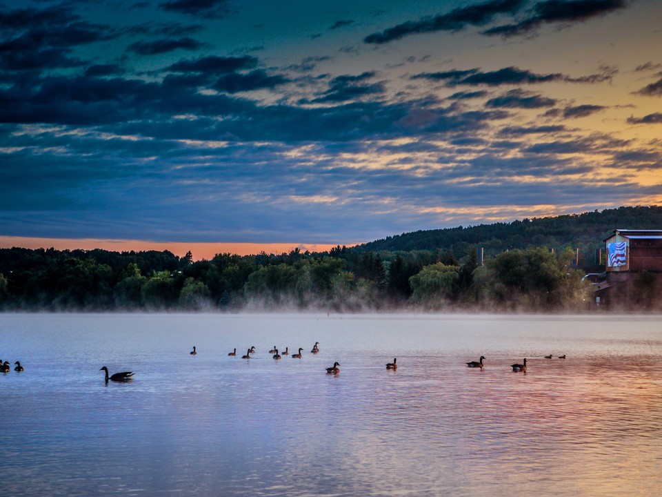 Sunrise Geese DSC_0344