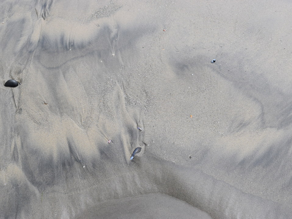 Sands of Oceanside #29