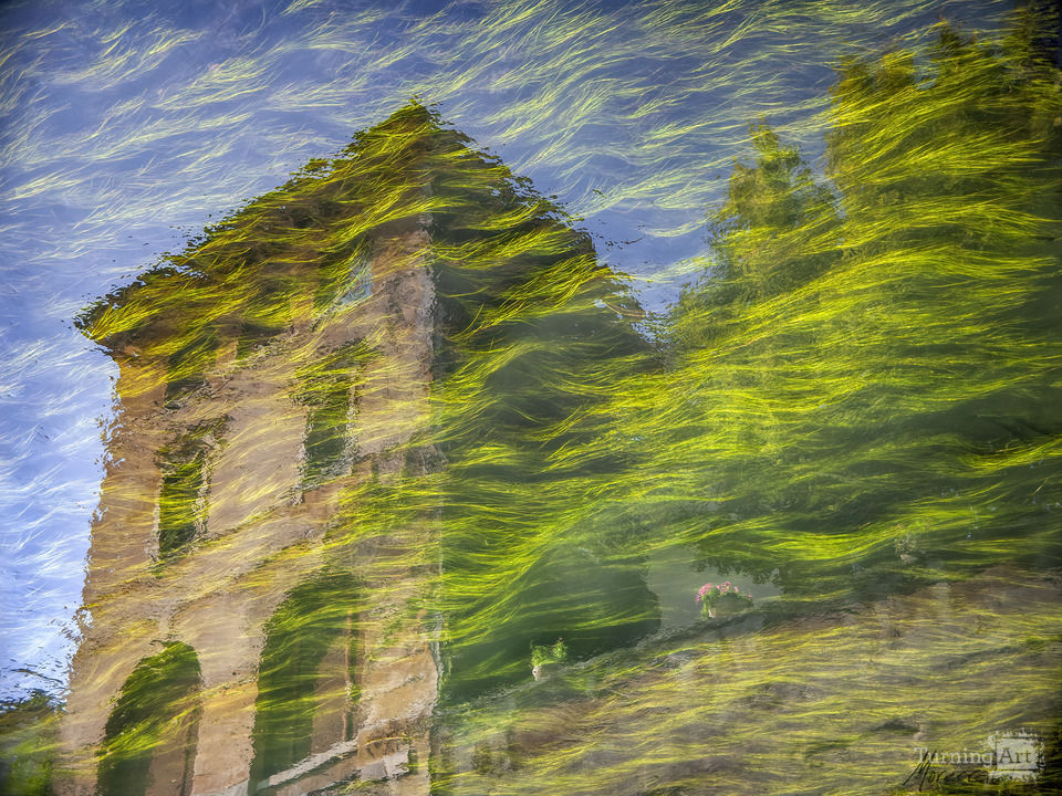 Vicenza Reflections, Italy