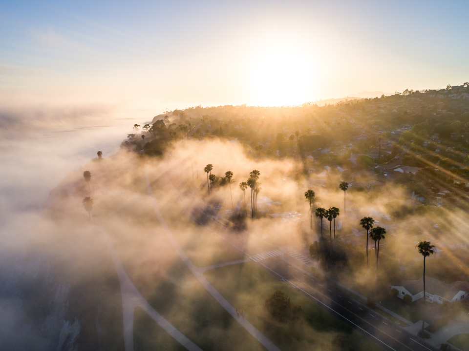 Above The Fog
