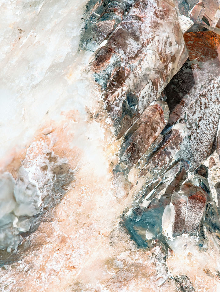 The return of the metahuman or 'You're an animal; act accordingly'