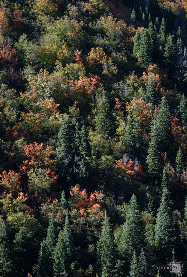 Wasatch Mountains Color