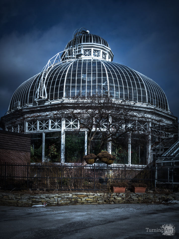 Allan Gardens Conservatory Palm House No 2 Color Version