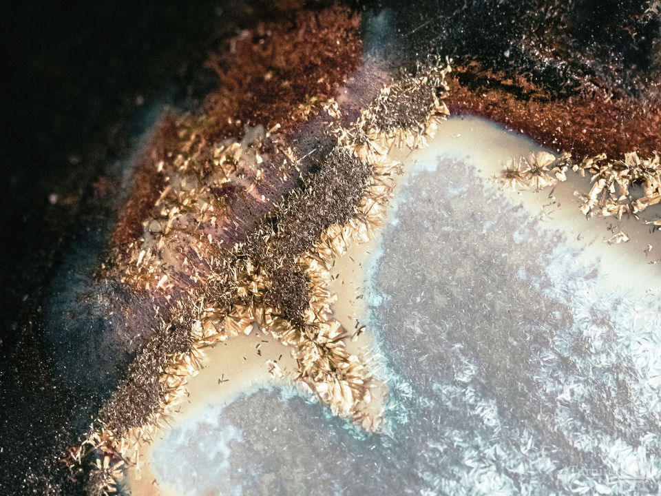 The transmutation of the last being II