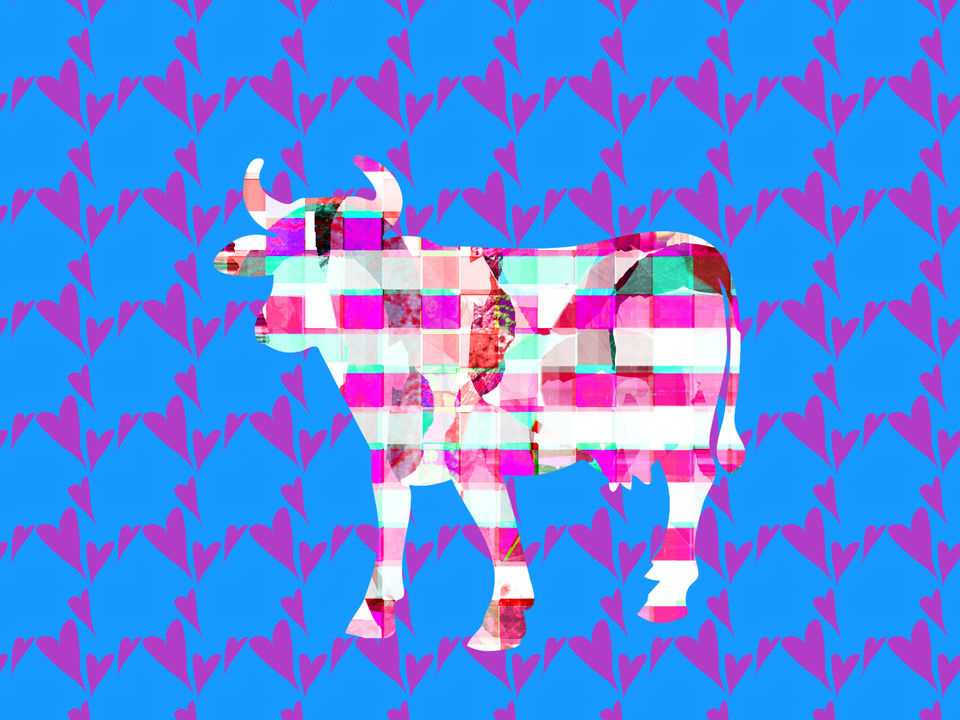 Cow Love