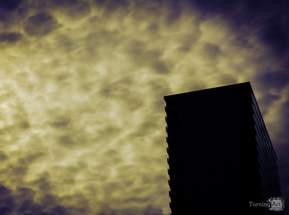 Watching The Clouds Walk