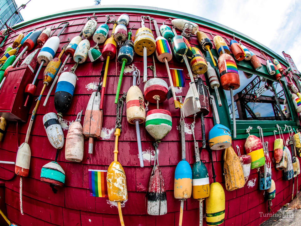 Buoys In Boston