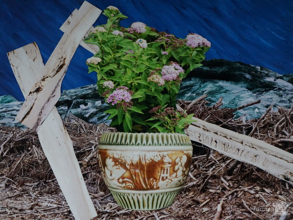 Still Life on Land and Sea I