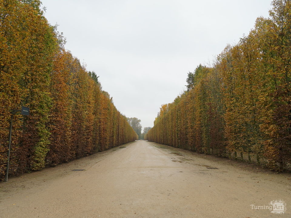 Versailles in Autumn