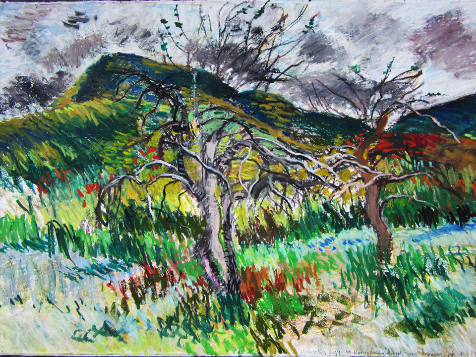 Mt. Norwottuck and Apple Trees. Holyoke Mountain Range, autumn