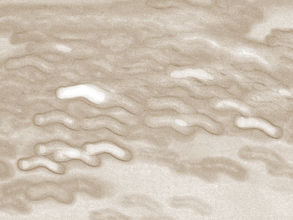 Circa _ 3774_sepia