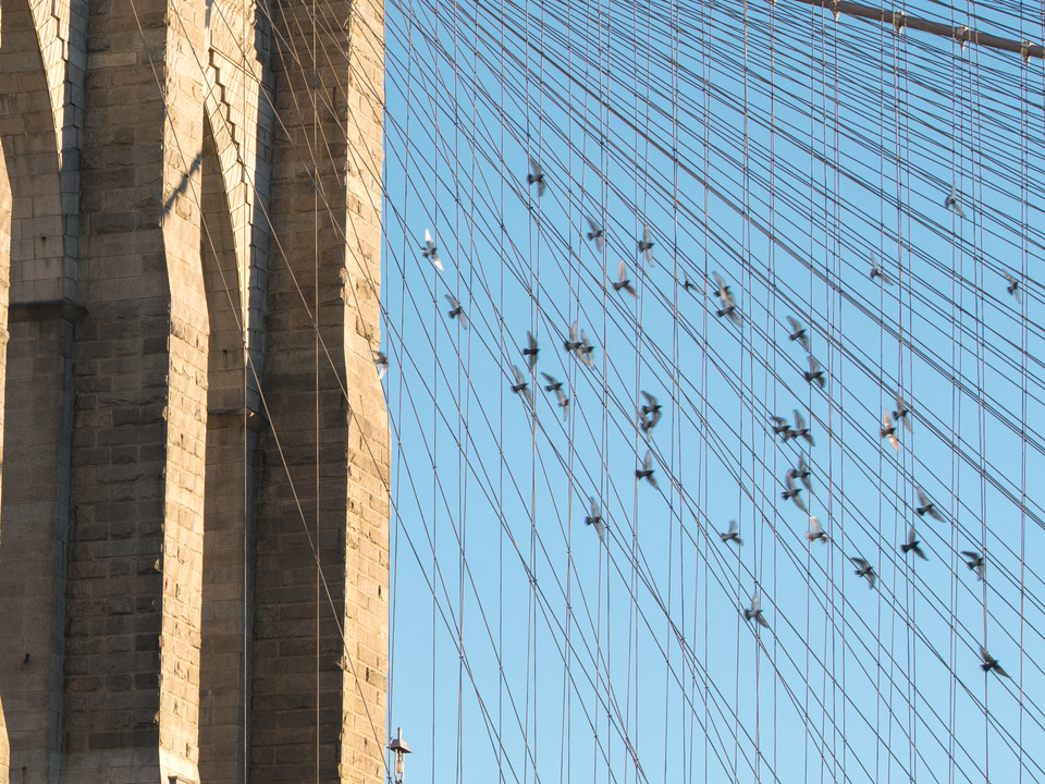 6. 1 Hotel Brooklyn Bridge