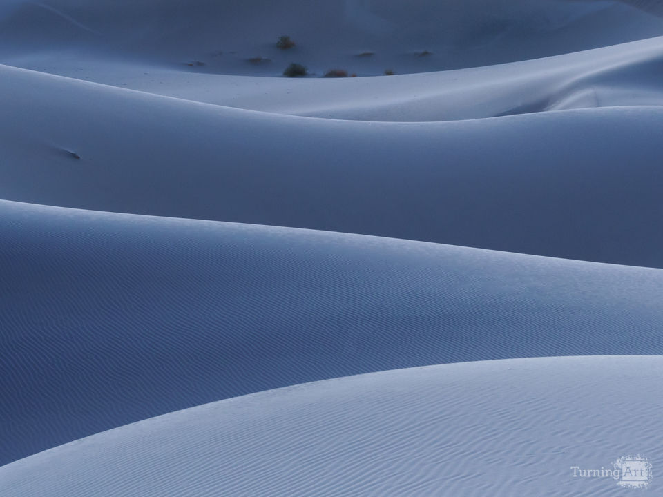 Blue Dunes